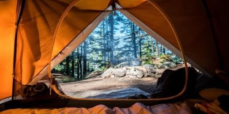 Plan A Camping Trip: 5 Things To Do