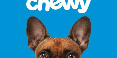 Essential Products At Chewy That Every Pet Owner Should Have